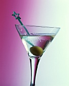 Ein Martini-Cocktail im Aperitifglas mit Olive