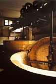 Olive oil production: interior view of factory