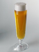 Beer in a Pilsner Glass