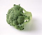 A head of broccoli