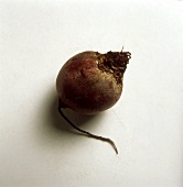 A Single Red Beet