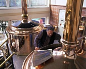 Brewery owner checking the wort in the brewing pan