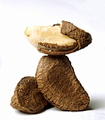 Two whole Brazil nuts and a Brazil nut kernel in a broken shell