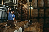 Rum barrels at a rum distillery in the Caribbean