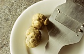 Two white truffles from Piedmont & a truffle plane