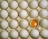 Several White Eggs in Egg Carton