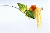 Spaghetti on Fork
