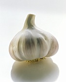 One Garlic Bulb