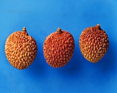 Three lychees on blue background