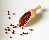 Red peppercorns on wooden scoop