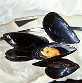 Mussels on silver tray