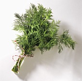 A bunch of dill