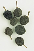 Getrocknete Schlehdornfrüchte (Flores pruni spinosae)