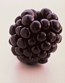 A Single Blackberry; Closeup