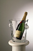 Champagnerflasche (Moet & Chandon) im Glaskübel
