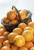 Basket full of oranges in front of many oranges