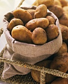 Potatoes in sack, variety: Italian Sieglinde