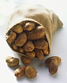 Potatoes Coming out of a Burlap Sack
