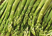 Green asparagus stalks (close-up)