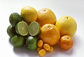 Assorted Citrus Fruit: Lemon, Lime, Orange, Tangerine, Grapefruit and Kumquat