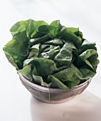 Lettuce in a strainer