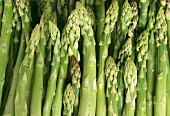 Asparagus Close Up