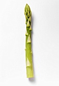 A Single Green Asparagus