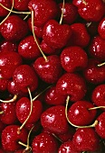 Rote Kirschen mit Wassertropfen (Ausschnitt)