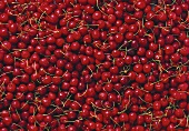 Red Cherries (Full Frame)