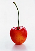 A Single White Cherry