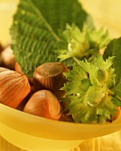 Hazelnuts with green hazelnut twig in yellow bowl 