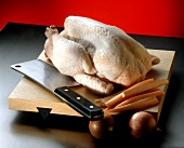 Chicken on chopping board with knife, carrots, onions