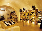 View into ceremonial cellar of the Althof Retz Hotel, Austria