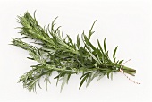 Ein Bund Beifuss (lat. Artemisia vulgaris)