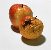 One fresh and one rotten apple