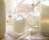 Naturjoghurt und Himbeerjoghurt in Gläsern und Milch im Krug