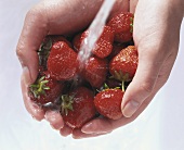 Erdbeeren mit den Händen waschen