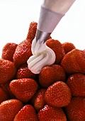 Piping Whipped Cream; Strawberries