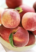 Peaches in a Basket