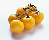 Sechs gelbe Tomaten am Zweig auf weißem Untergrund