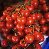 Small vine tomatoes ot a market