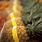 Grosse Hawaii-Ananas in einer Reihe auf einem Marktstand