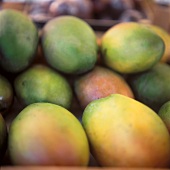 Several Mangoes