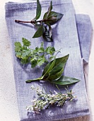 Mint and Chervil; Bay Leaves and Rosemary