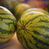 Fresh Watermelons