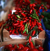 Red and green chilis in crates at the market