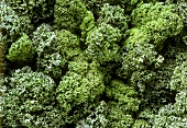 Kale (filling the picture)