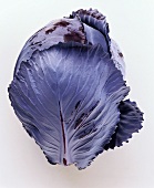 A Red Cabbage