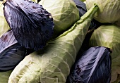 Red cabbage and pointed cabbages (filling the picture)