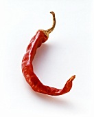 A dried chili pepper